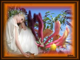 diaporama pps As-tu déjà pleuré ?