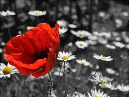 diaporama pps Belle nature