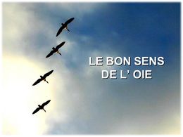 diaporama pps Le bon sens de l’oie