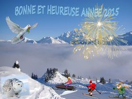 diaporama pps Bonne et heureuse année 2015