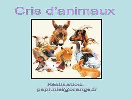 diaporama pps Cris d’animaux