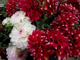 diaporama pps Forever autumn