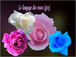 diaporama pps Le langage des roses
