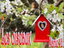 diaporama pps Les oiseaux