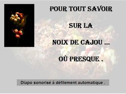 diaporama pps Noix de cajou