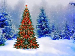 diaporama pps Origine du sapin de noël