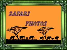 diaporama pps Safari photos
