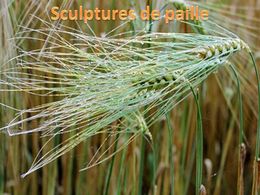 diaporama pps Sculptures de paille