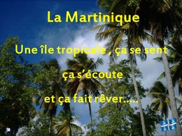 Voyage en Martinique N°8