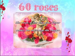PPS 60 roses