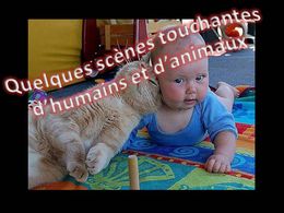 PPS Animaux et humains