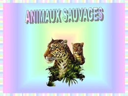 Animaux sauvages
