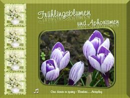 Aphorismen und Fruhlingsblumen