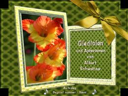 PPS Aphorismen und Gladiolen