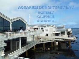 Aquarium de Monterey