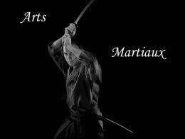 Arts martiaux