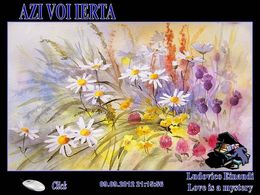 PPS Aquarelles de Rachel Mc Naughton