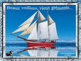 Beaux voiliers vieux gréements