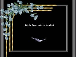 Diaporama Birds dessinés actualité