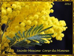 Corso du mimosa à Sainte-Maxime 2012
