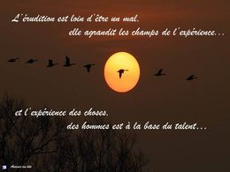 Diaporama citations BG 2012 26