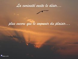 Diaporama citations BG 2012 28