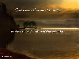 Diaporama citations BG 2012 40