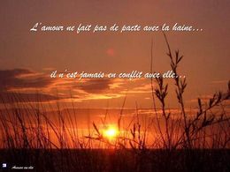 Diaporama citations BG 2012 43