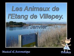 Fréjus étang de Villepey