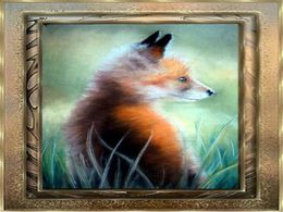 Hôtes discrets de nos forêts