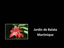 Jardin de Balata