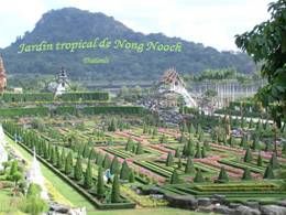 Jardin tropical de Nong Nooch