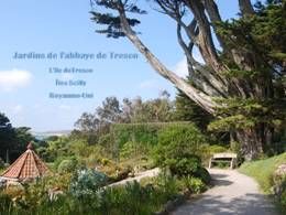 Jardins de l'abbaye de Tresco