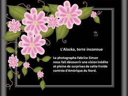 L’Alaska terre inconnue