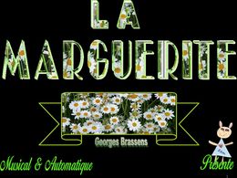 Brassens - La marguerite