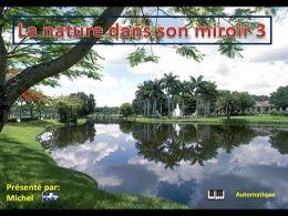La nature dans son miroir 3