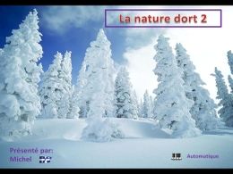La nature dort N°2