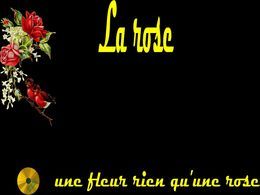 La rose