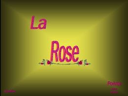 PPS La rose rouge