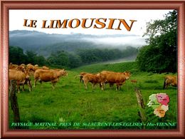 Le Limousin
