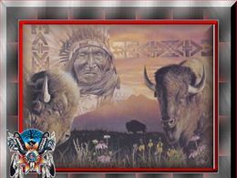 Le message des indiens