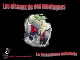 Le Tichodrome échelette