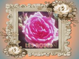 Diaporama sur Les roses