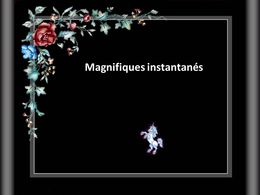 PPS Magnifiques instantanés