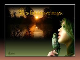 Diaporama Mes fantaisies en images