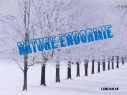 Nature endormie