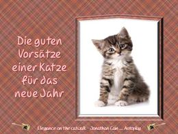 Neujahrsvorsätze einer Katze