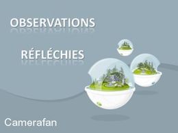 Observations réfléchies
