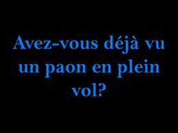 Un paon en plein vol