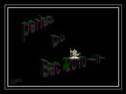 Diaporama Perles du bac 2010 II